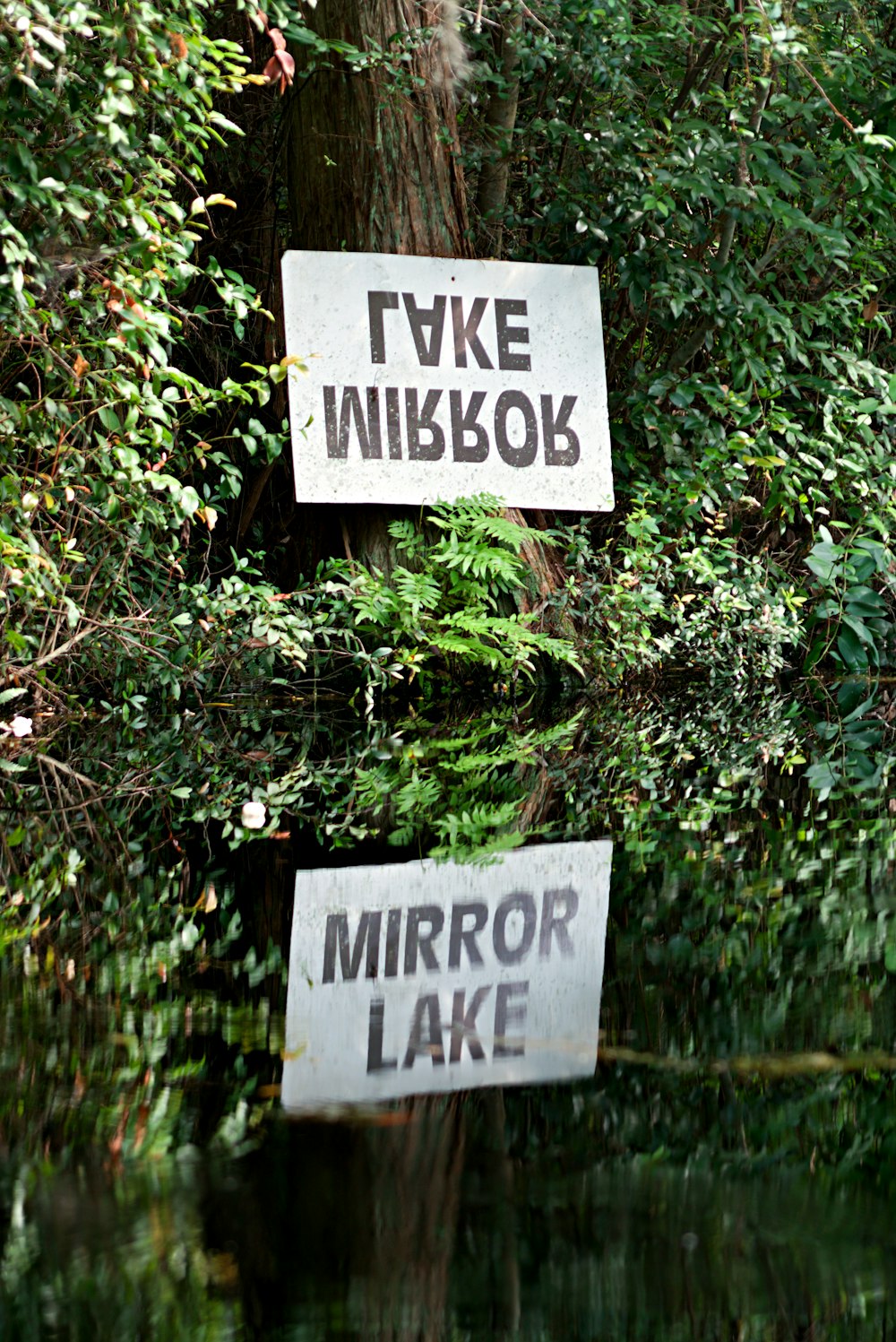 a couple of signs that are in the water