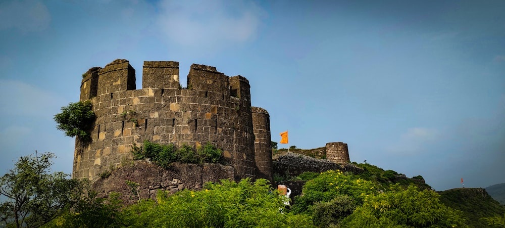 a castle on top of a hill surrounded by trees