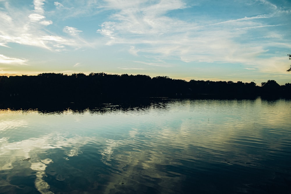 a body of water with trees in the background