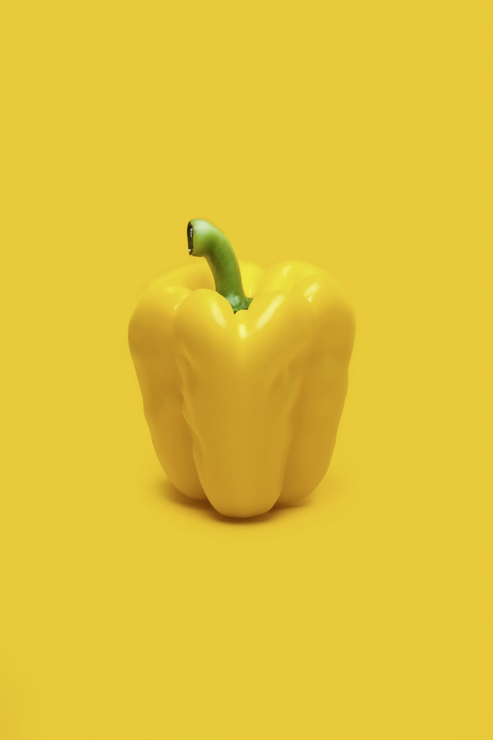 a yellow pepper on a yellow background
