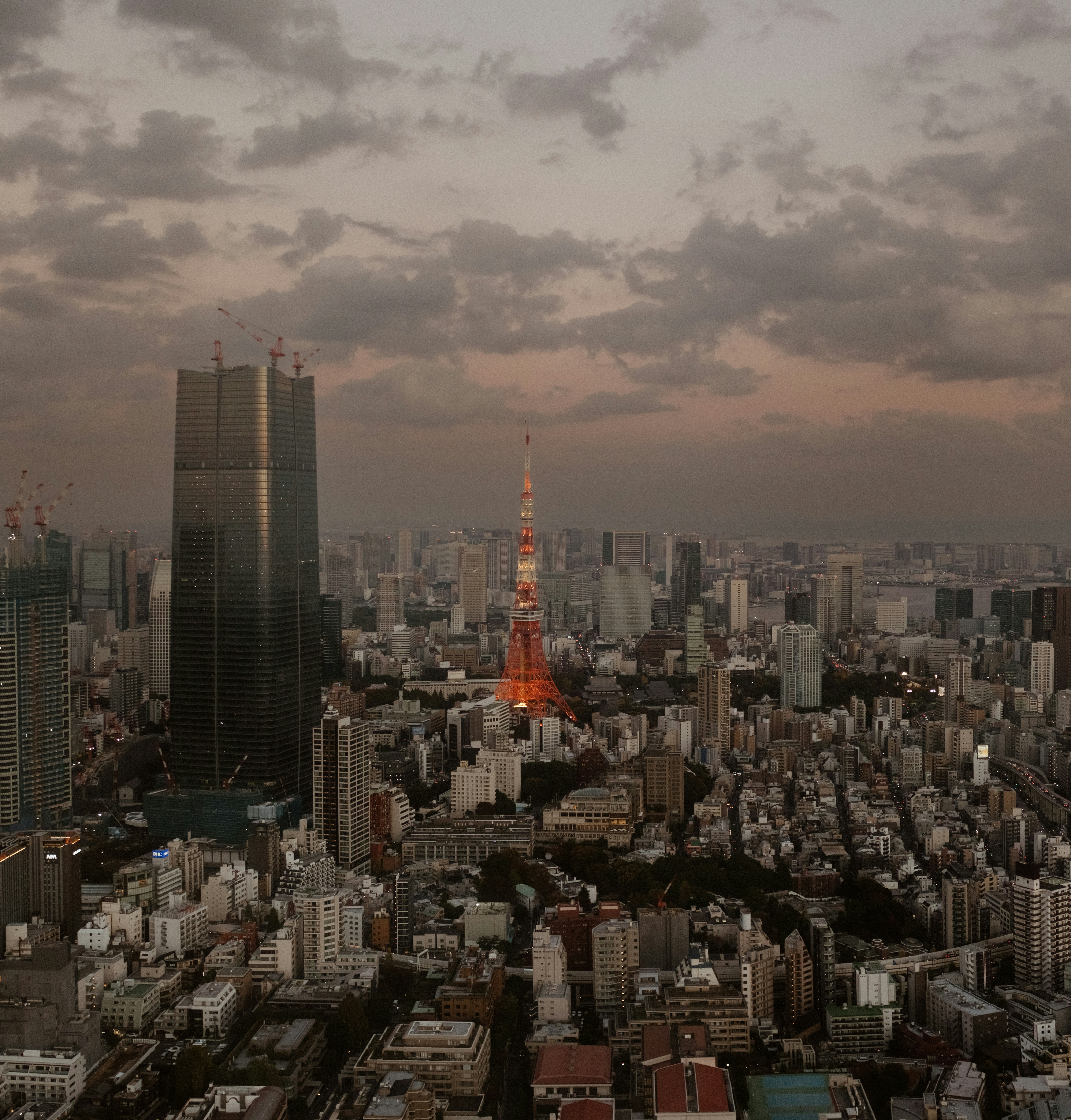 Una vista de una ciudad con edificios altos bajo un cielo nublado