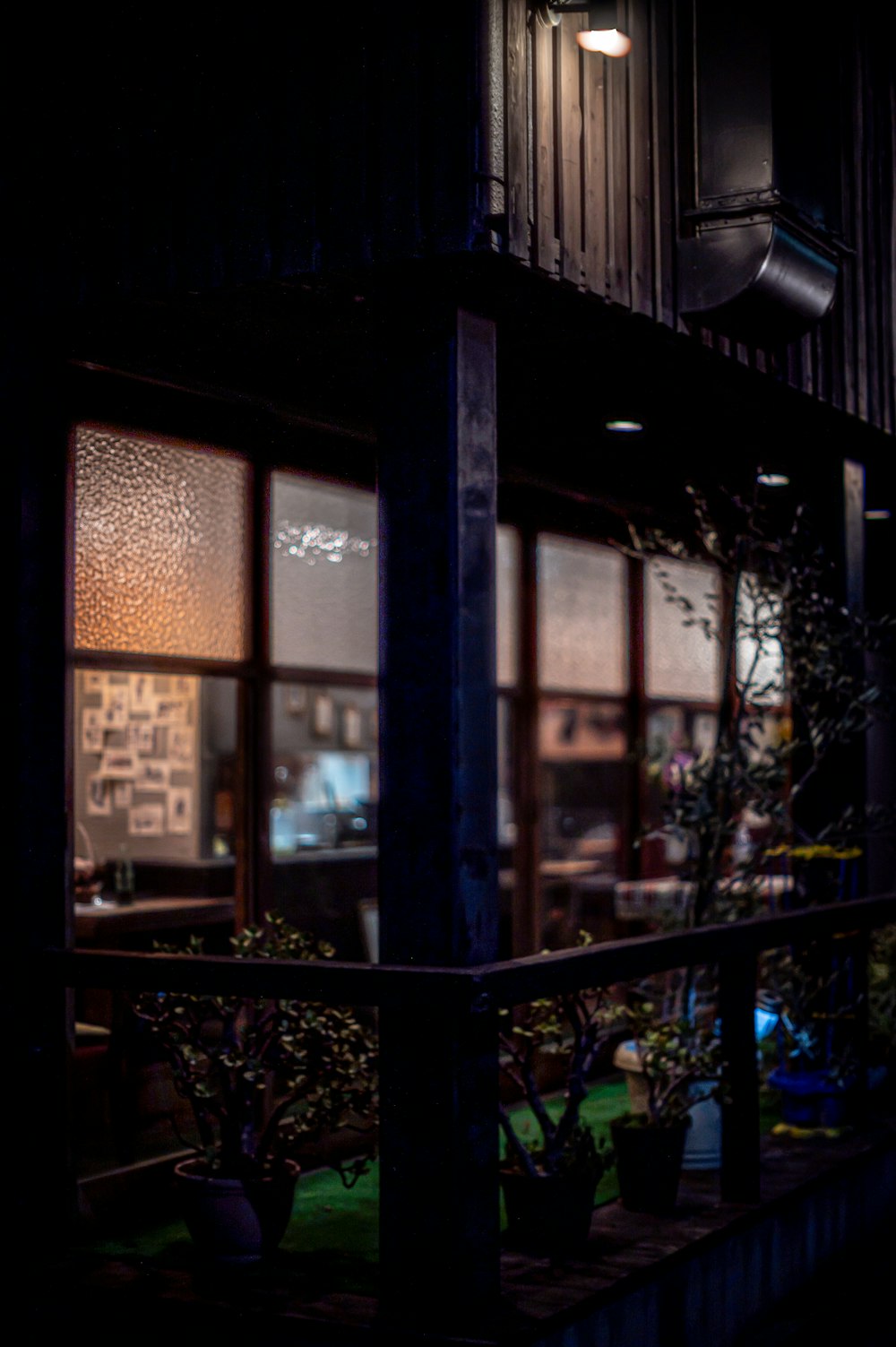 a dark room with lots of windows and potted plants