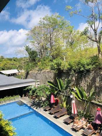 Swimming pool surrounded by greenery with lounge chairs awaiting guests on a sunny day.