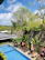 Guests enjoying a sunny afternoon beside the clear, inviting outdoor pool surrounded by greenery.