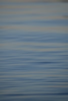 A peaceful puzzle scene featuring soothing colors and relaxing gameplay elements.