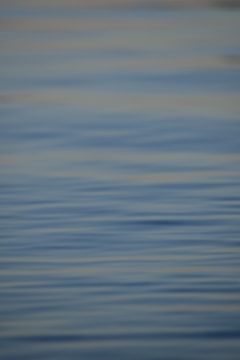 A snapshot of a relaxing daily activity game with soothing colors.