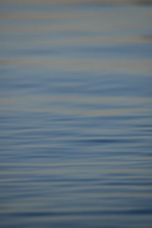 A peaceful scene of number painting, blending relaxation with gentle brain exercise.