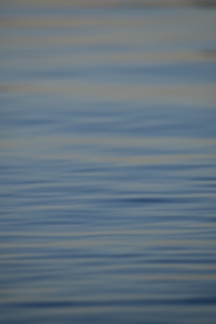 A peaceful puzzle game scene with soothing colors and clever design elements that invite thoughtful play.