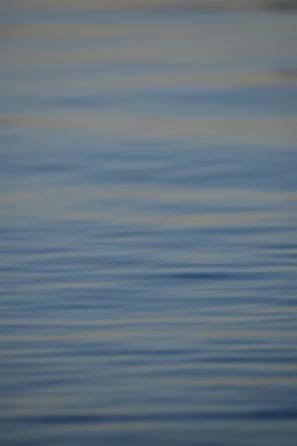 A tranquil pool scene at sunrise with gentle ripples and soft blue tones.