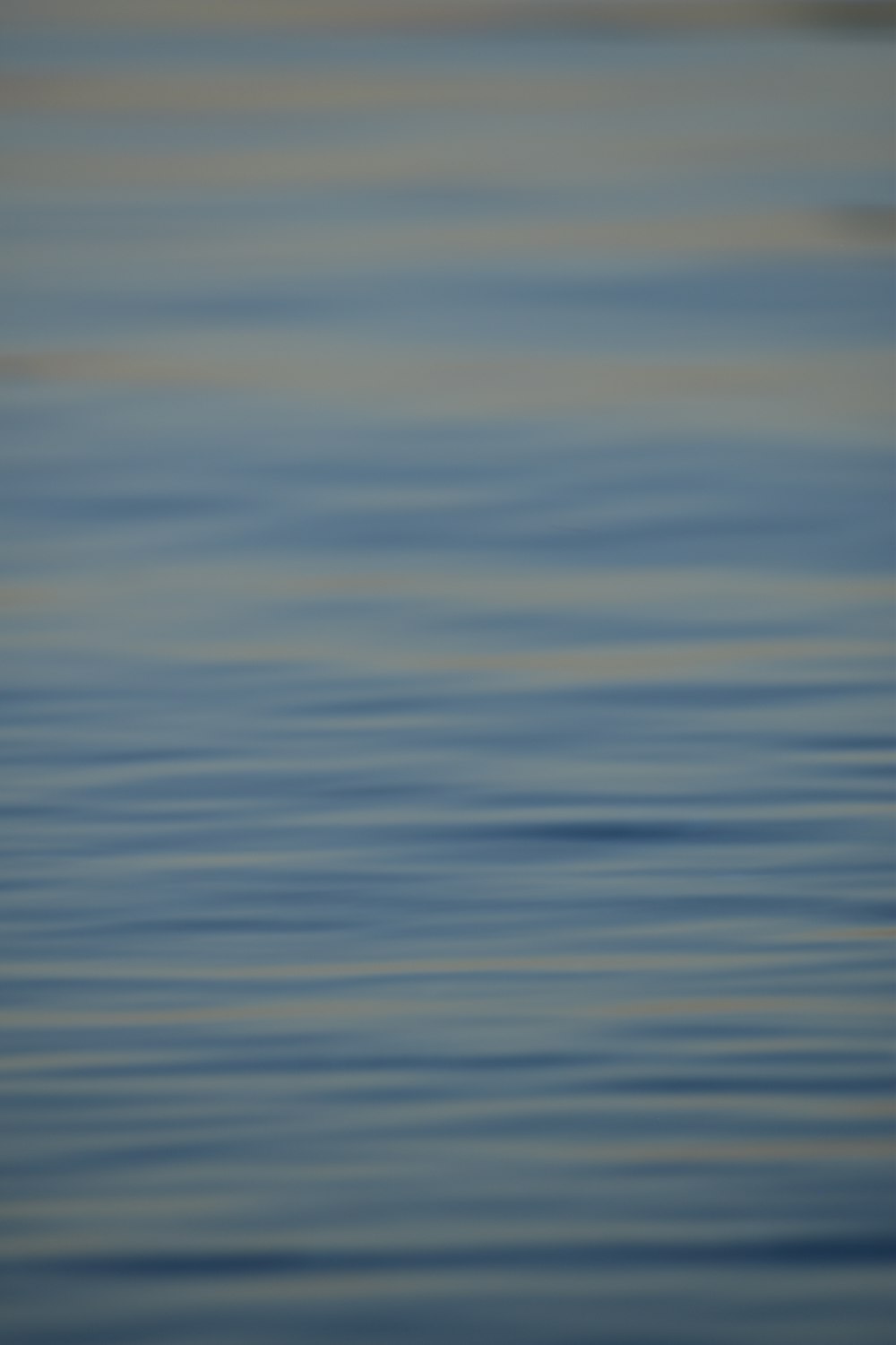 a bird flying over a body of water