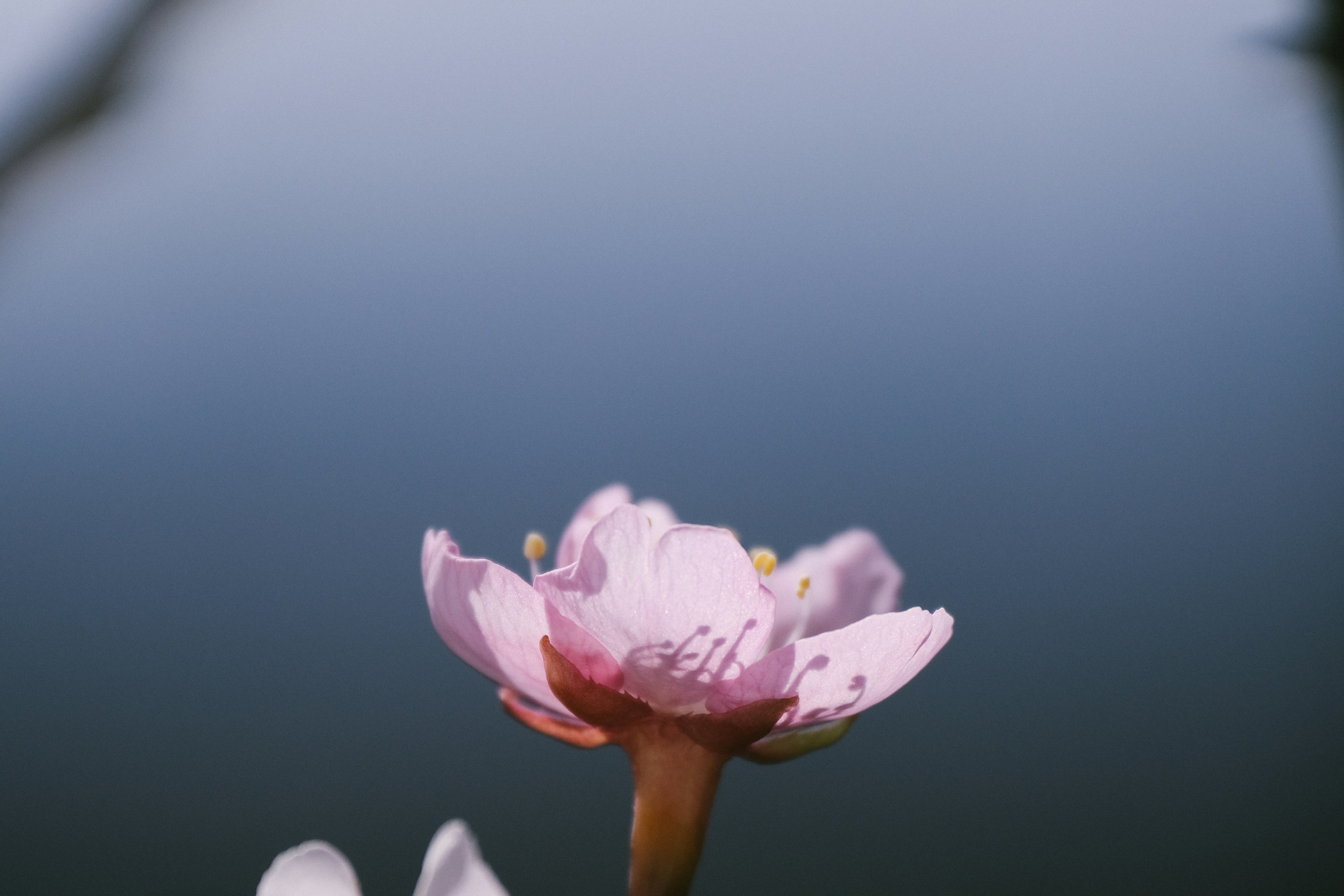 Photo by mcosme00