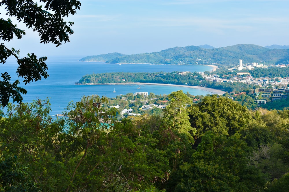 a view of a city and the ocean from a hill