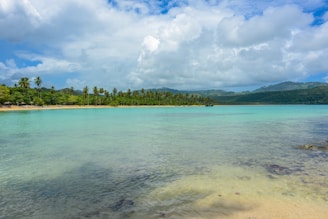 A beautiful beach in the Caribbean with crystal clear waters.