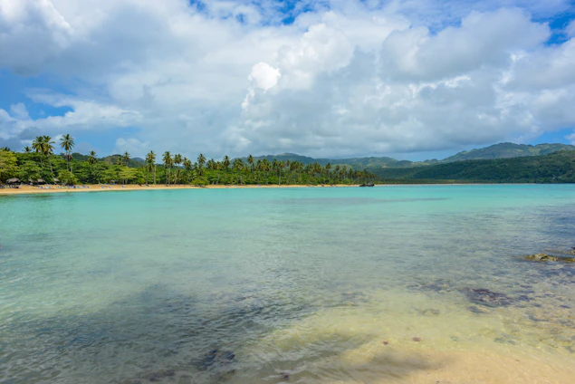 A vibrant photo of a local guide smiling warmly on a sunlit beach with turquoise waters and palm trees in the background.