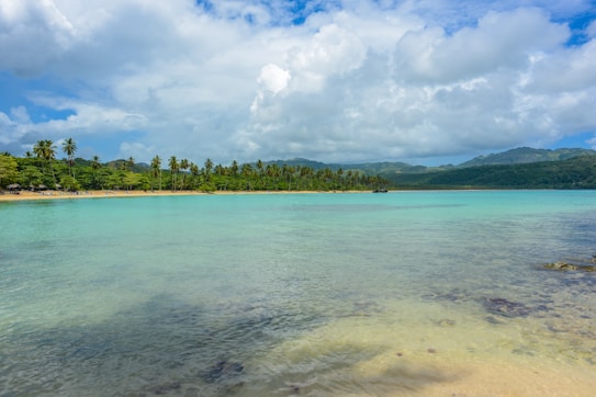 A picturesque tropical beach with clear turquoise waters gently lapping against the sandy shore. Tall palm trees line the edge of the beach, with lush green hills in the background under a partly cloudy sky.