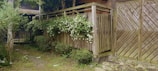A quaint outdoor garden area with wooden fencing, overgrown with lush green foliage and white flowers. The setting includes a pathway made of stepping stones leading towards the closed gate on the right, while the background features a brick wall and various shrubs.