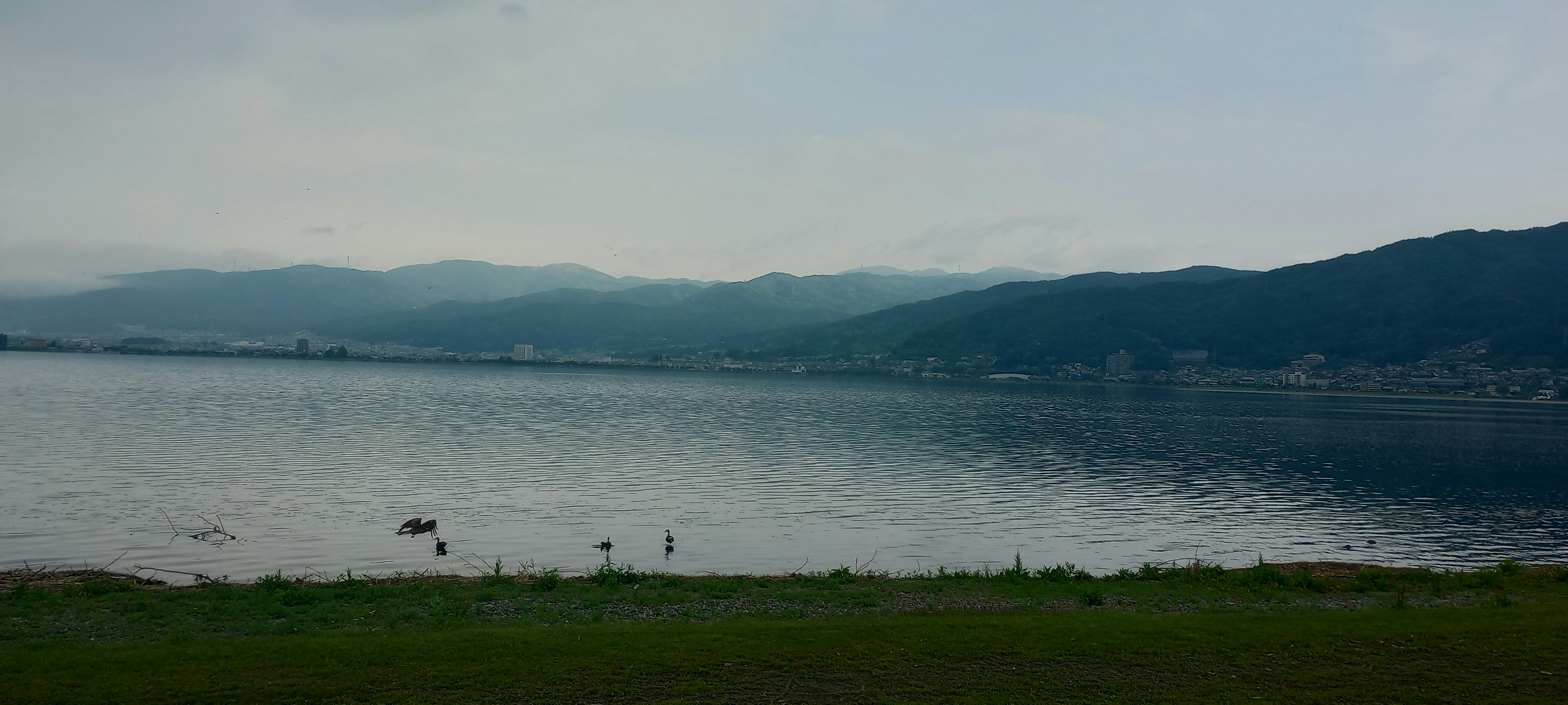 Photo by tpenguin