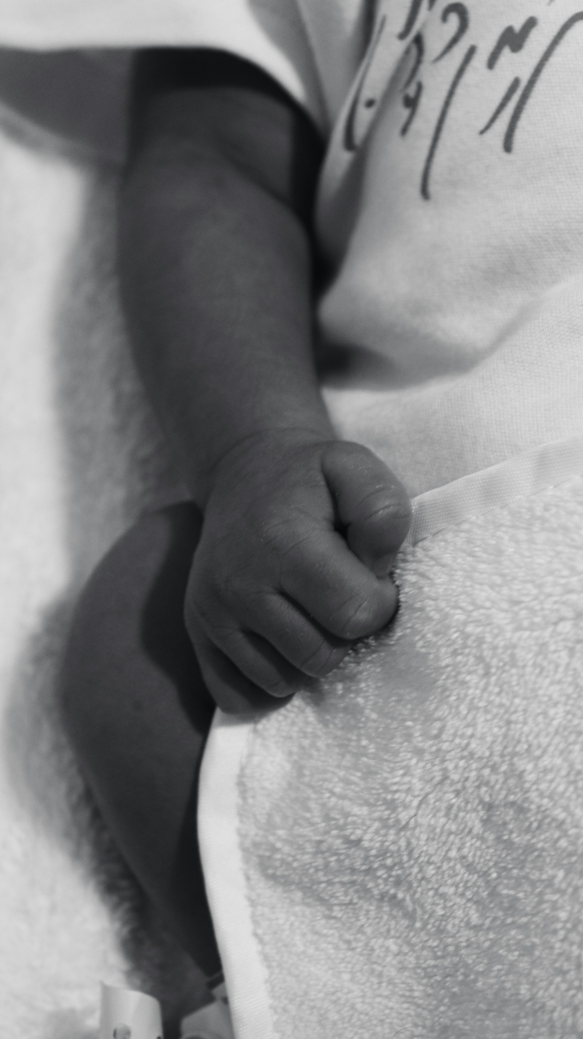 A close-up of a newborn's tiny hands resting on a soft blanket, capturing the essence of new life.