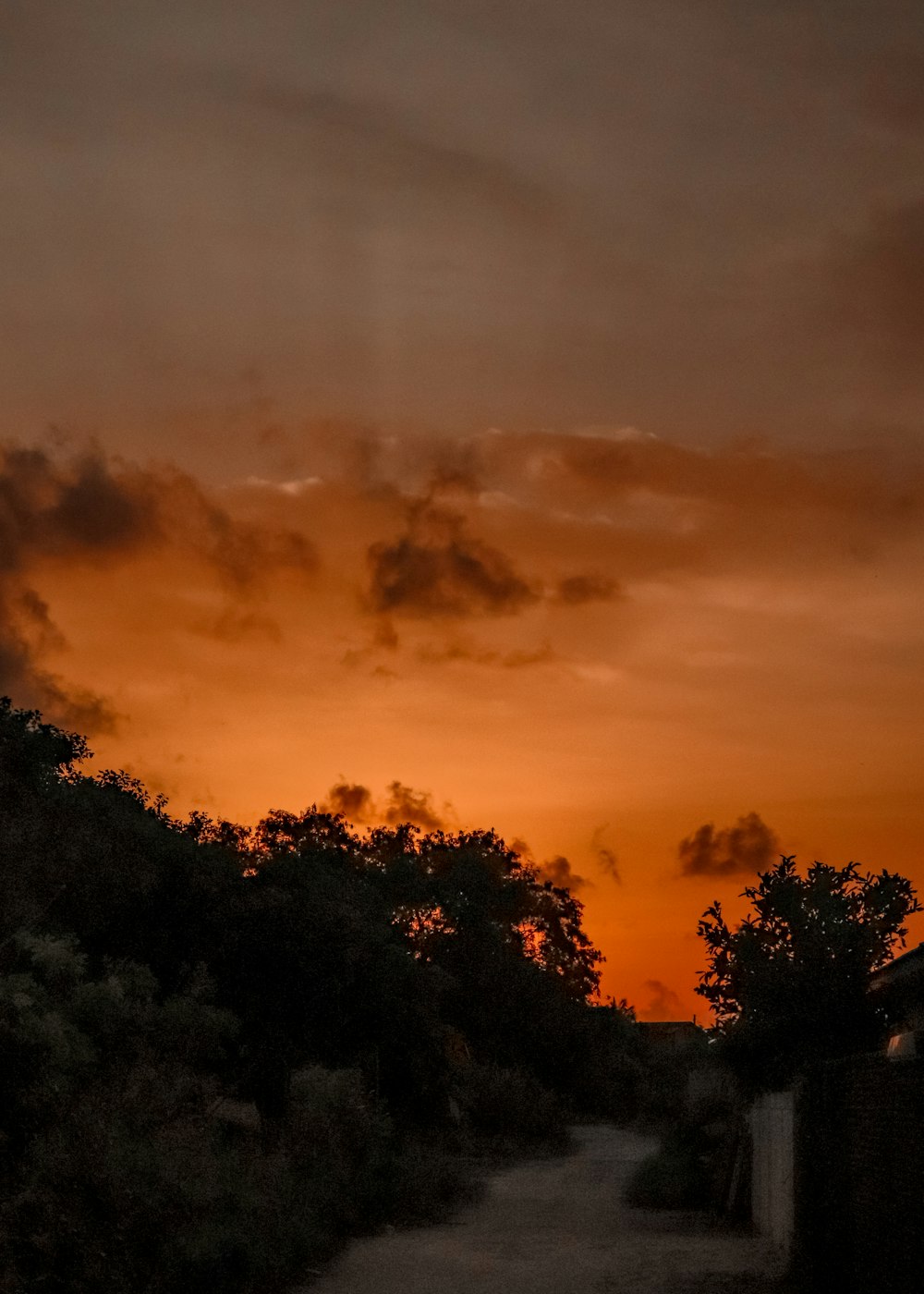 the sun is setting over the trees on the side of the road