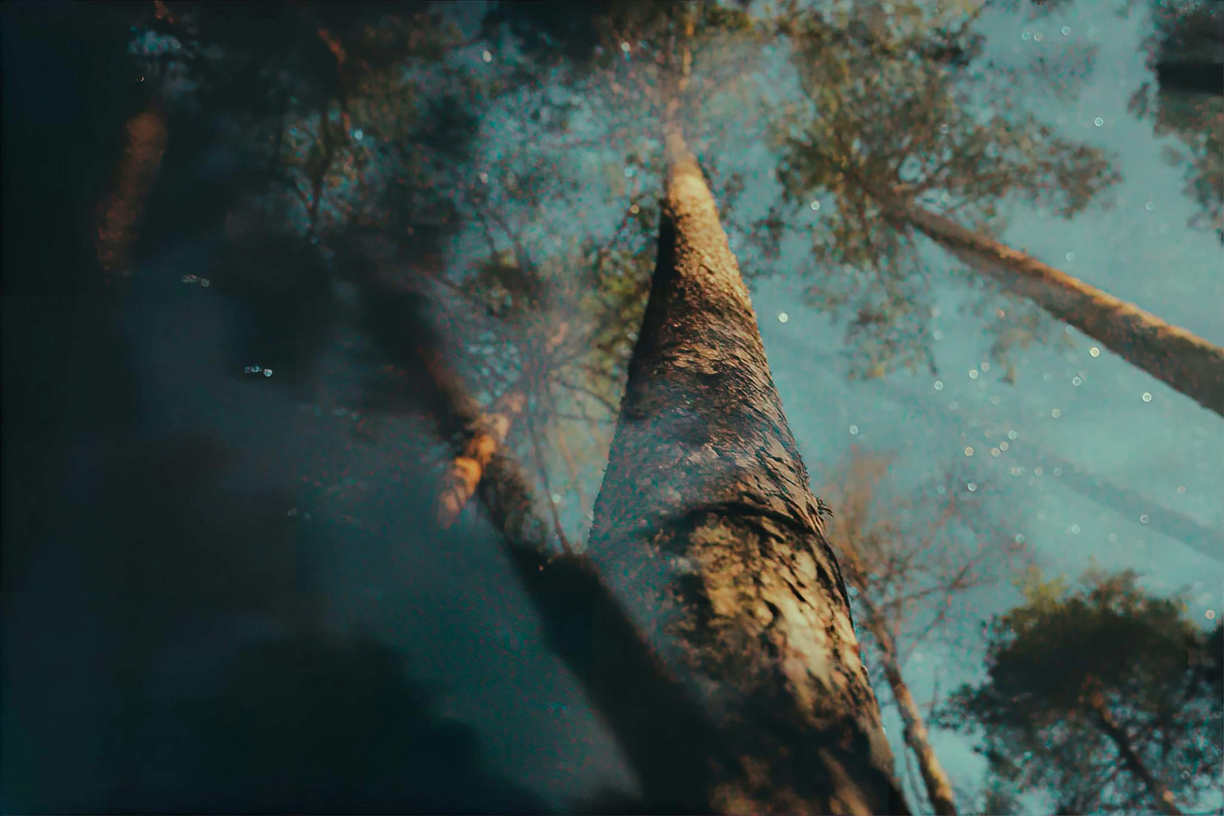 Photo by abalashevsky