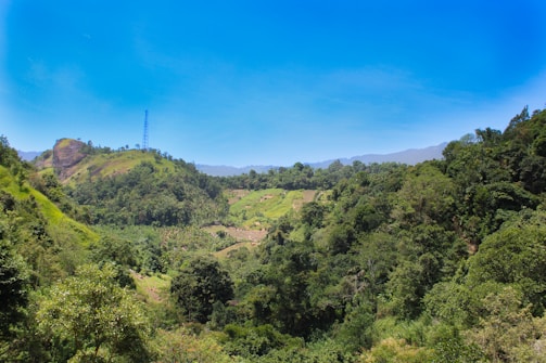 A lush, green landscape features rolling hills covered in dense forest under a clear blue sky. A solitary radio tower stands on one of the hills, and the background shows distant, barely visible mountains.