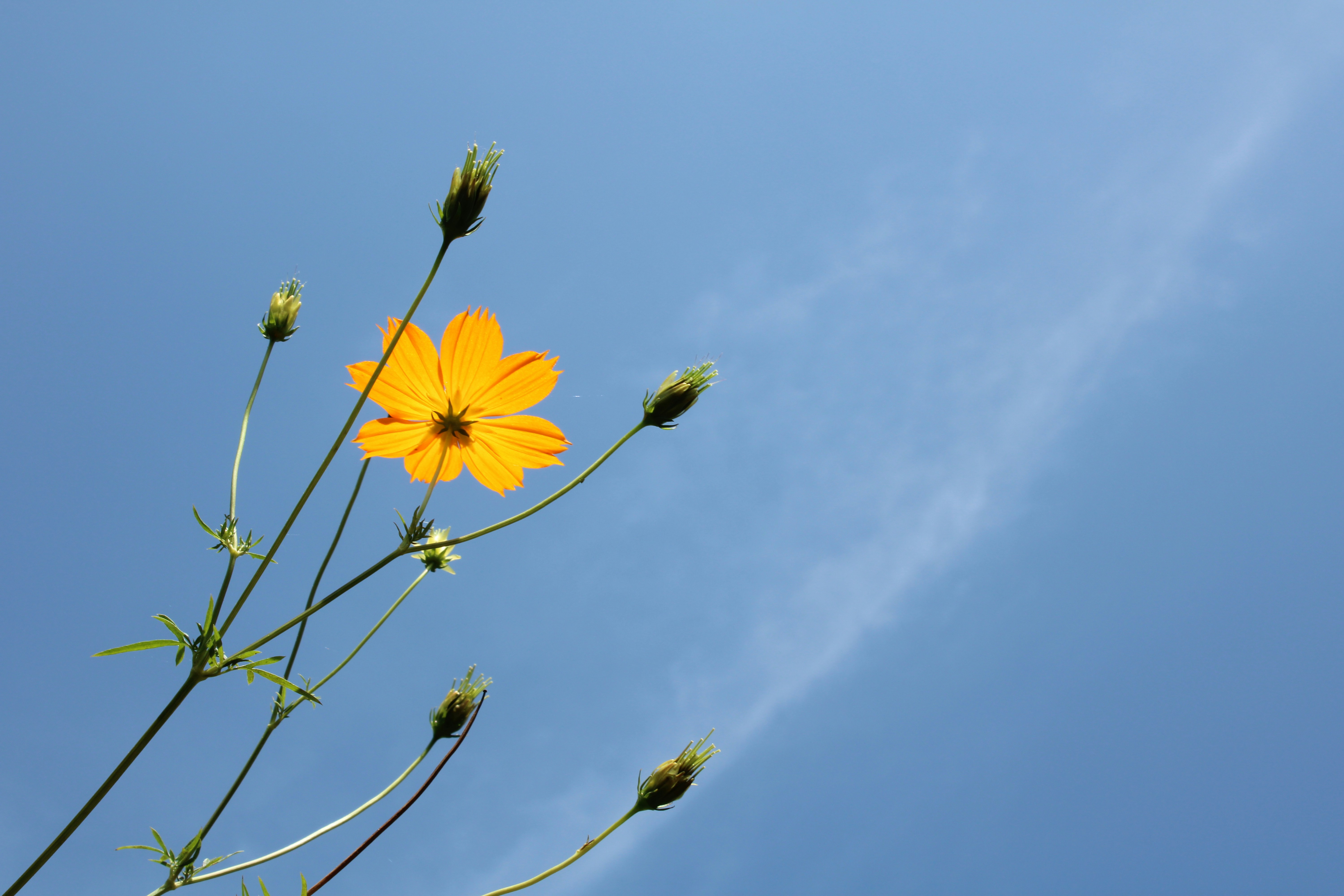 Photo by dilani_wicky