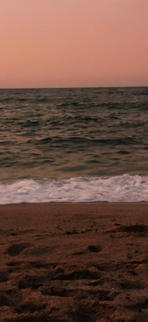 A serene beach at sunset with soft waves and tropical flowers framing the scene.