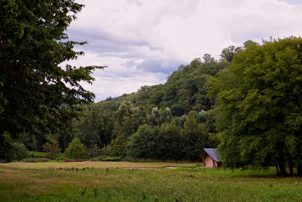 Una casa in mezzo a un campo circondato da alberi