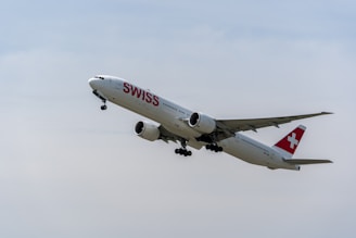 A Swiss Airlines jet is captured mid-flight, with its landing gear extended and prominent branding visible on the fuselage. The aircraft is set against a clear sky, suggesting a scene of aviation.