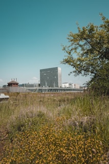 A modern factory building with green fields under a clear blue sky, representing agricultural chemical production.