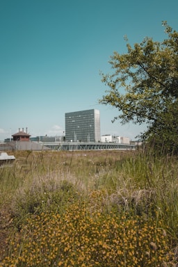 A modern factory building with green fields under a clear blue sky, representing agricultural chemical production.