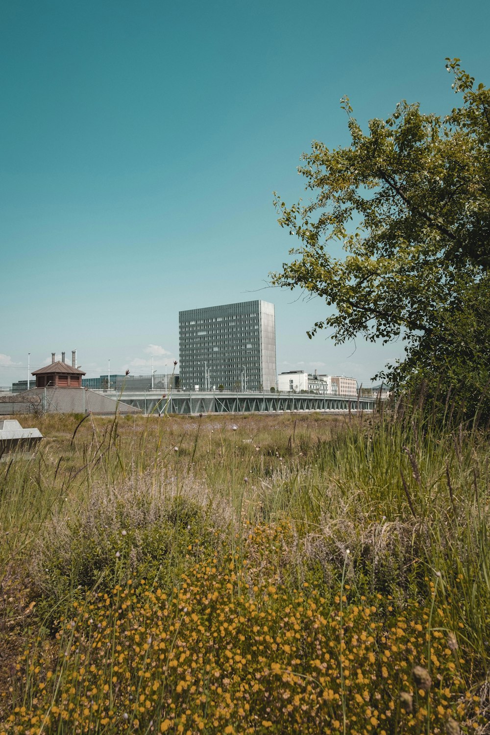 a tall building sitting on top of a lush green field