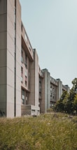 A row of modern, multi-story apartment buildings lines the edge of an overgrown grassy area with a few trees. The buildings have a minimalist design with large windows and beige facades.