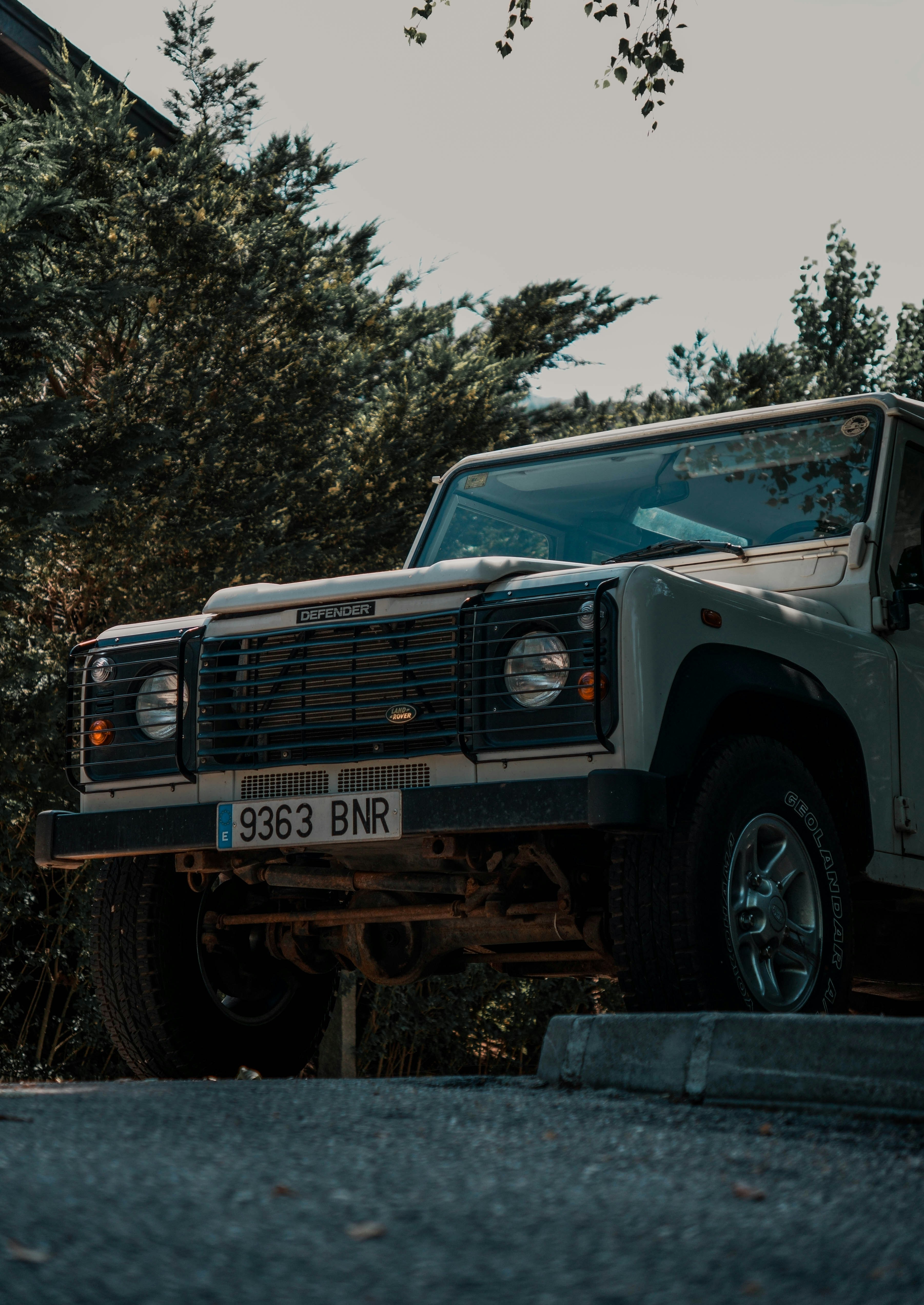 Photo by willgonzalez9