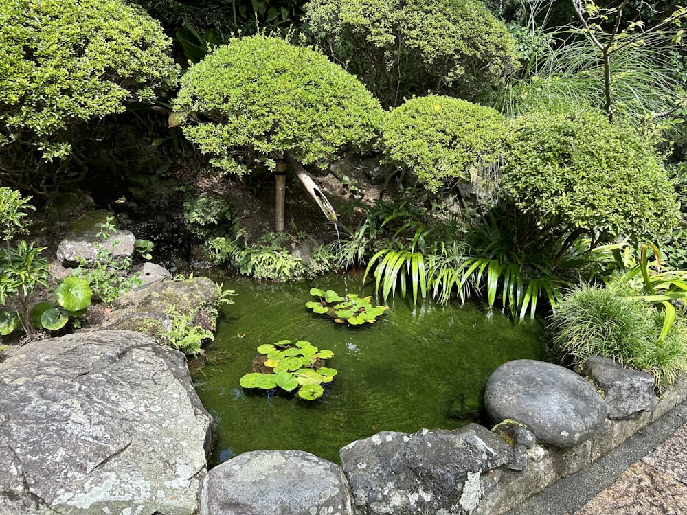 a small pond surrounded by rocks and plants