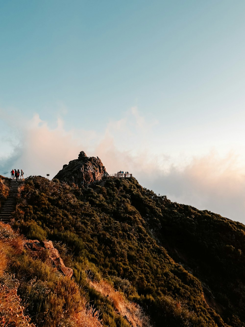 a group of people standing on top of a lush green hillside