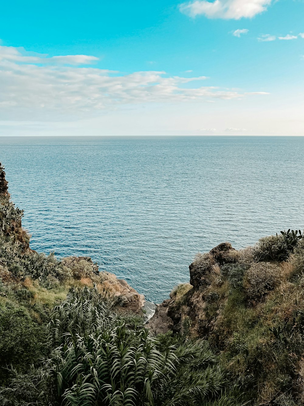 a large body of water sitting next to a lush green hillside