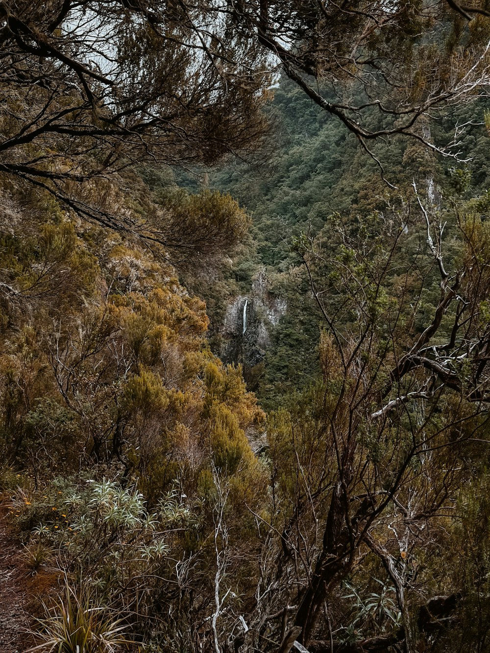 a view of a waterfall through some trees
