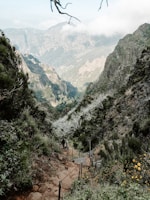 A determined hiker climbing a steep mountain path surrounded by lush greenery