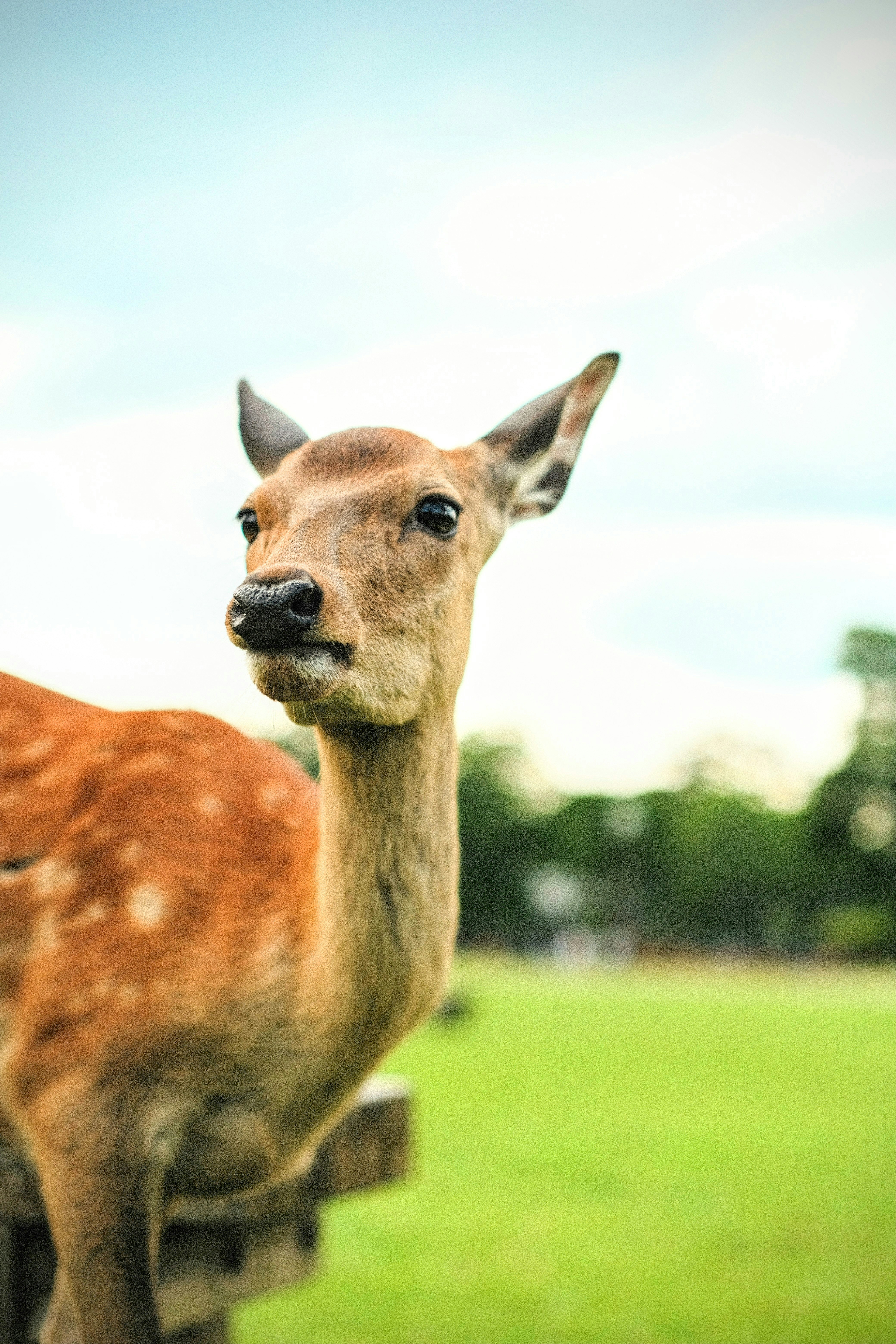 Photo by iy_hkg_1103