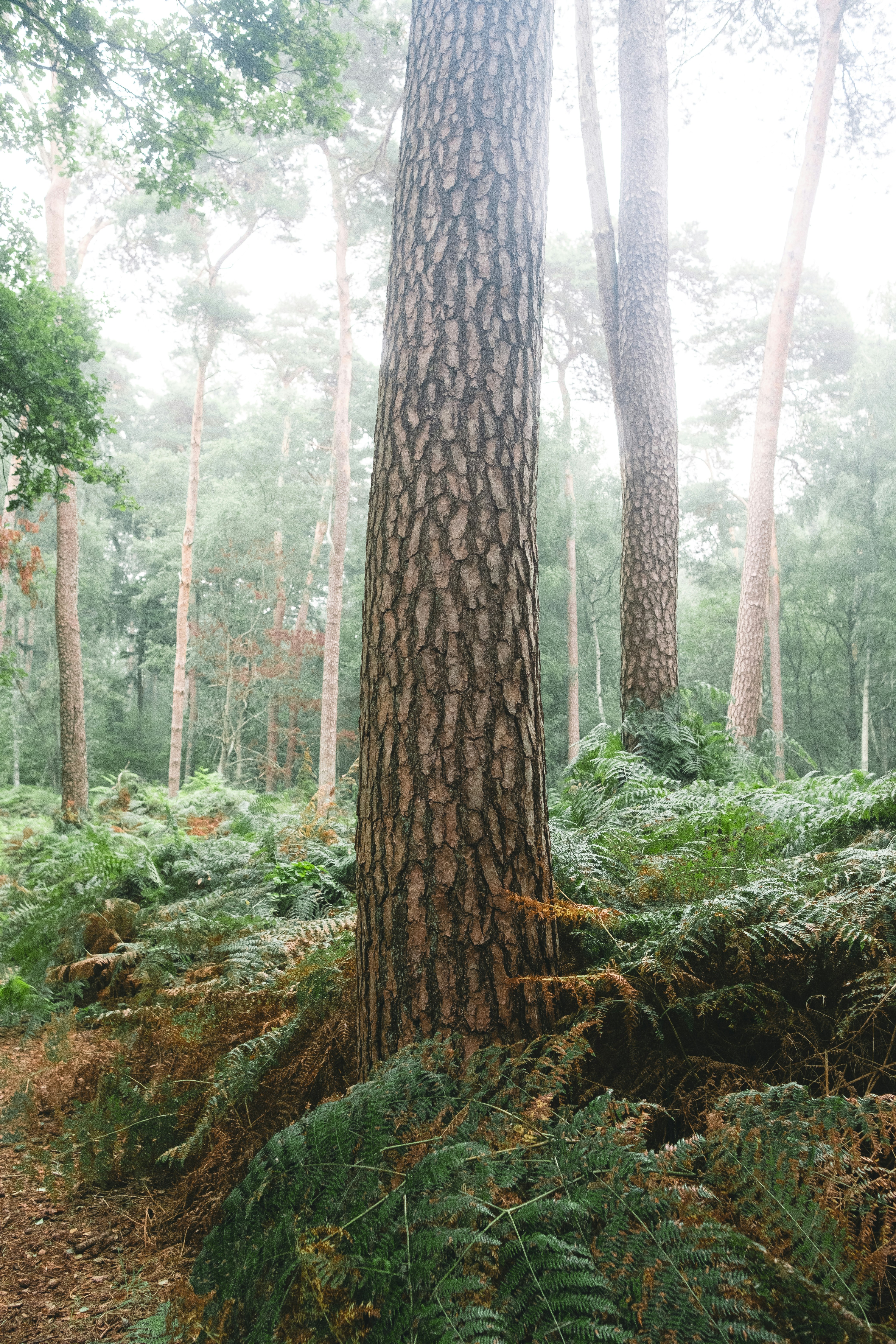 Photo by visualsbying