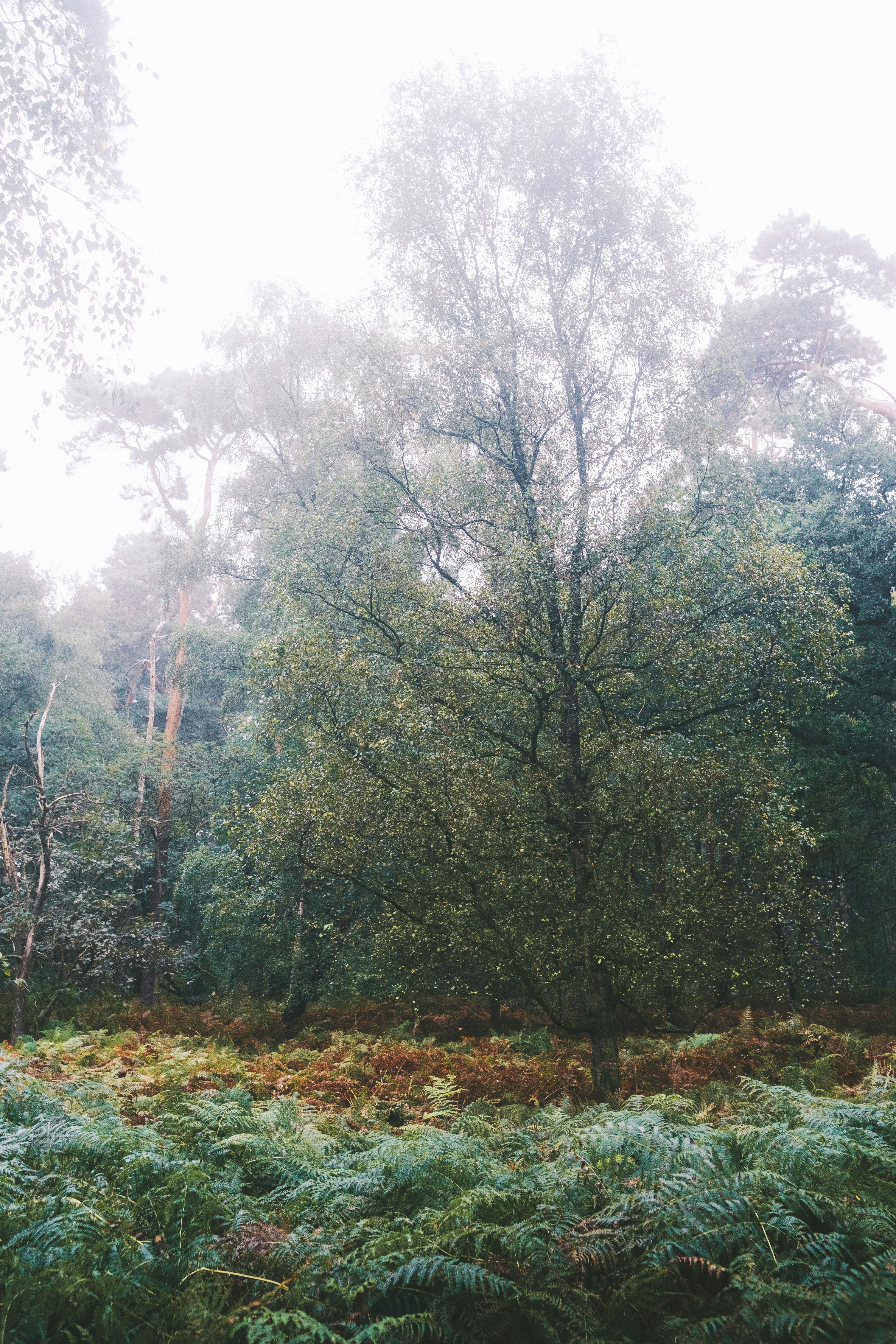 Photo by visualsbying