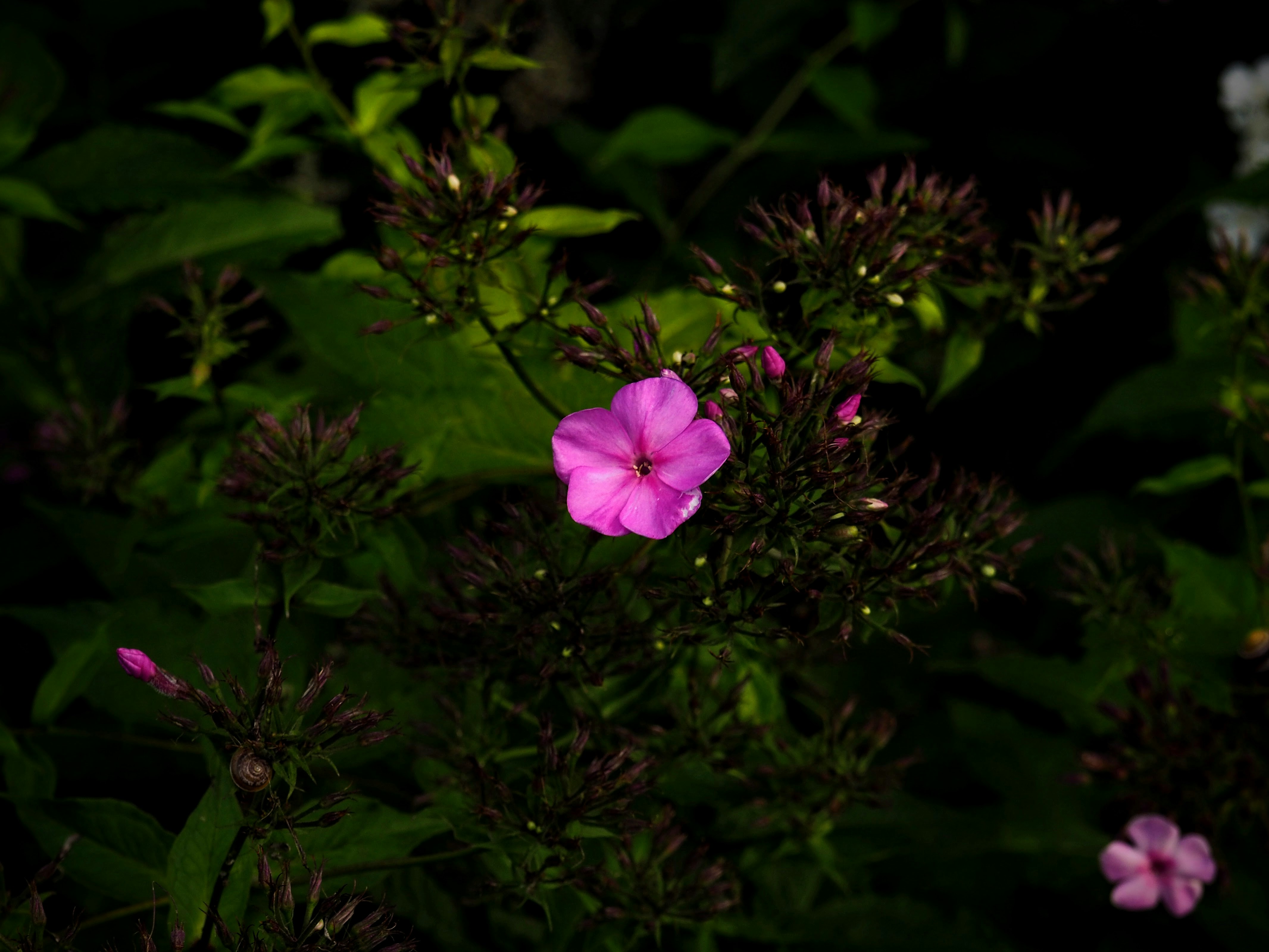 Photo by benji_da_vinci