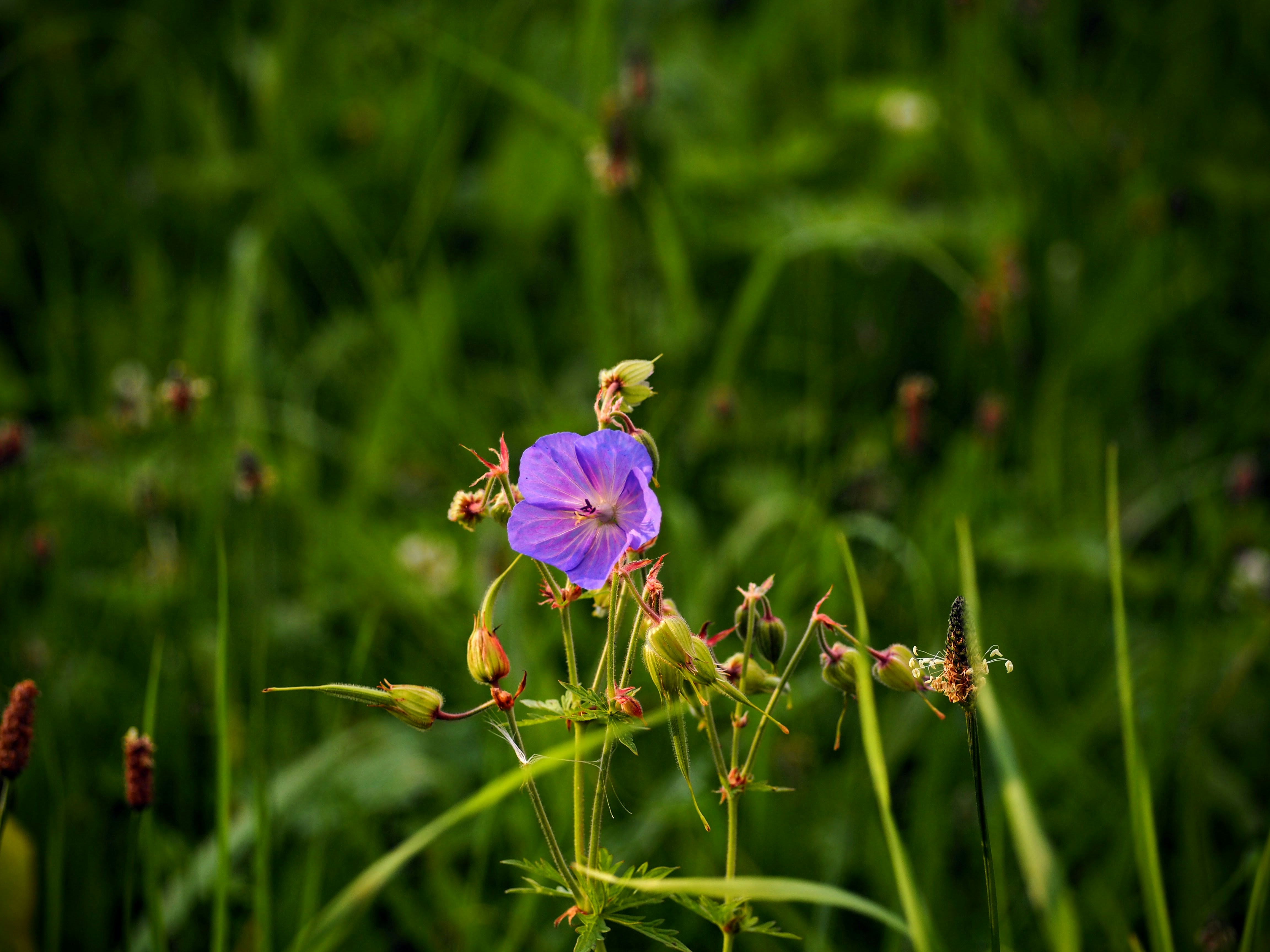 Photo by benji_da_vinci