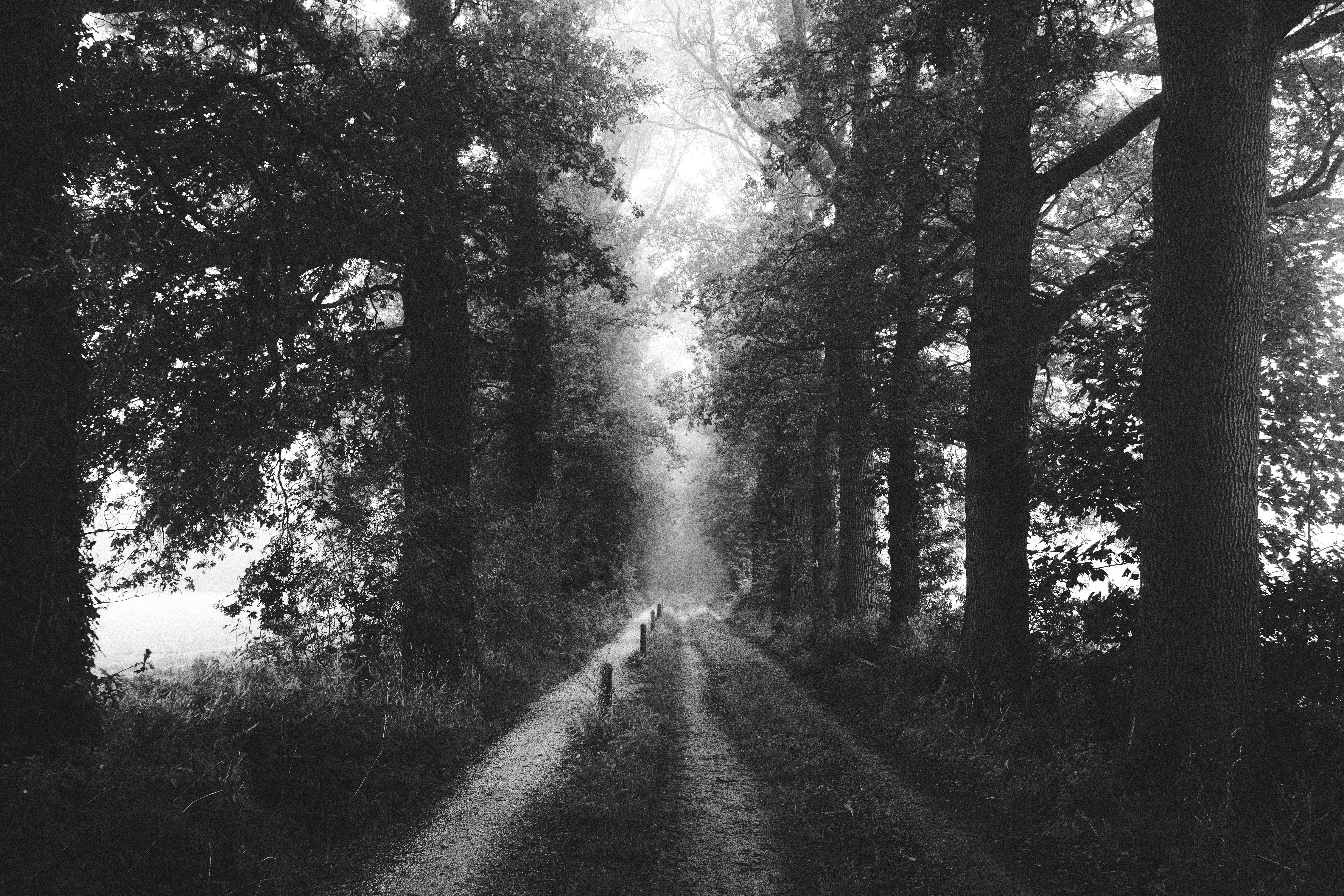 Photo by visualsbying