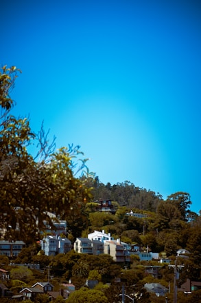 A serene Crystal Cove Estates neighborhood with modern homes surrounded by lush greenery under a clear blue sky.