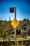 A traffic signpost with a yellow diamond-shaped sign displaying the message 'RAMP METERED WHEN FLASHING' and two traffic lights, surrounded by lush green foliage and a clear blue sky. In the background, buildings and trees can be seen.