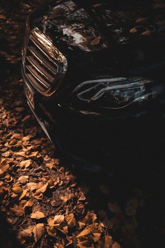 a close up of the front of a parked car