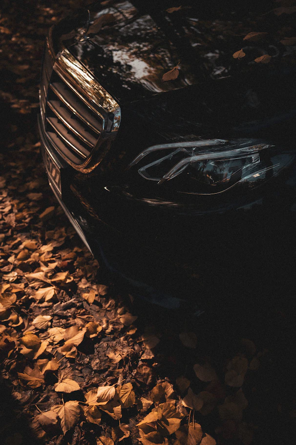 a close up of the front of a parked car