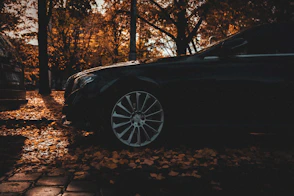 a black car parked on a leaf covered street